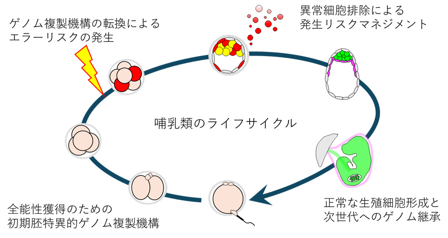 概要図